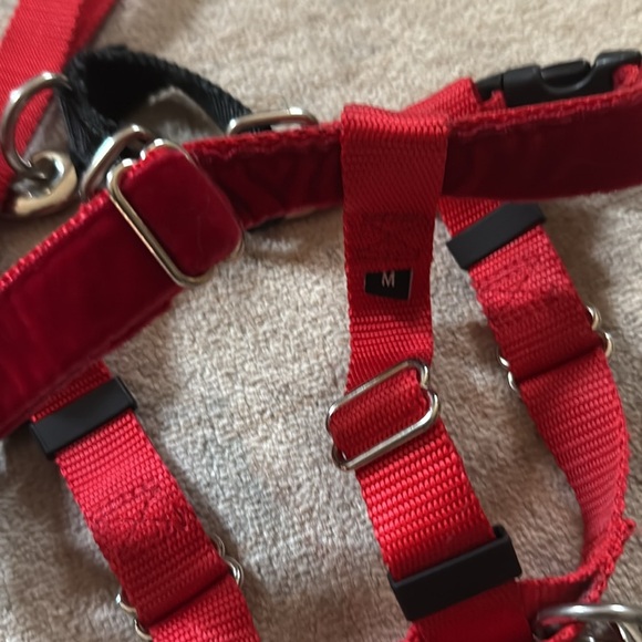 Freedom No Pull dog harness - Picture 6 of 8